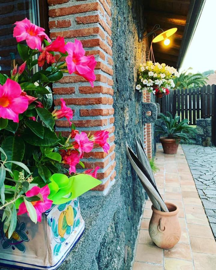 Il Tiglio Apartment Viagrande Exterior photo